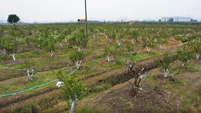 Application de la vanne d'irrigation intelligente Runxing dans l'irrigation des jardins